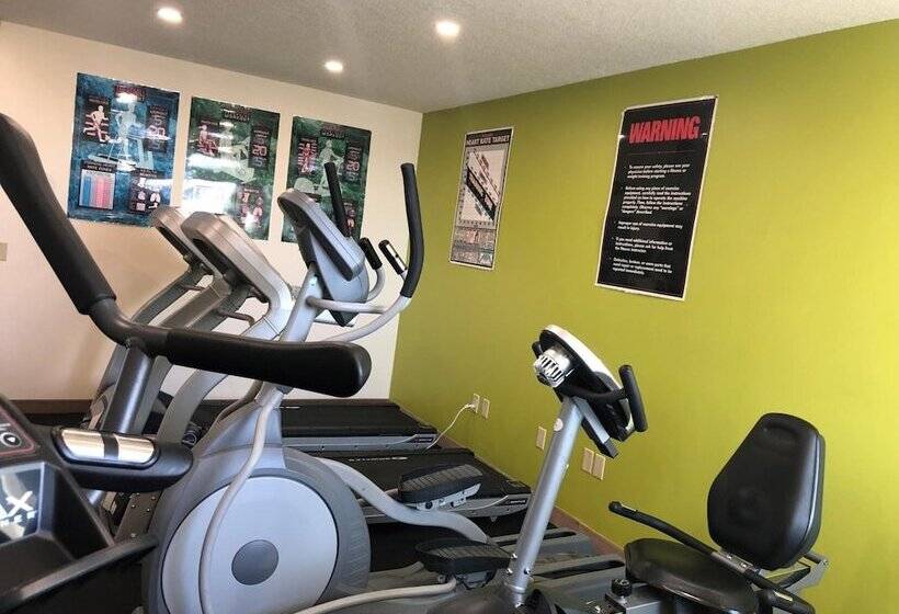 فندق Bear Claw Casino &