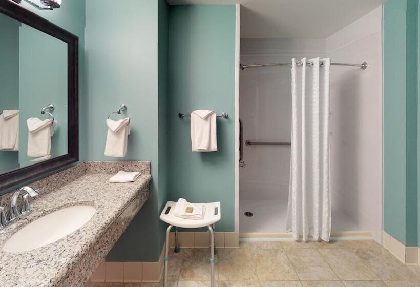 فندق Bear Claw Casino &