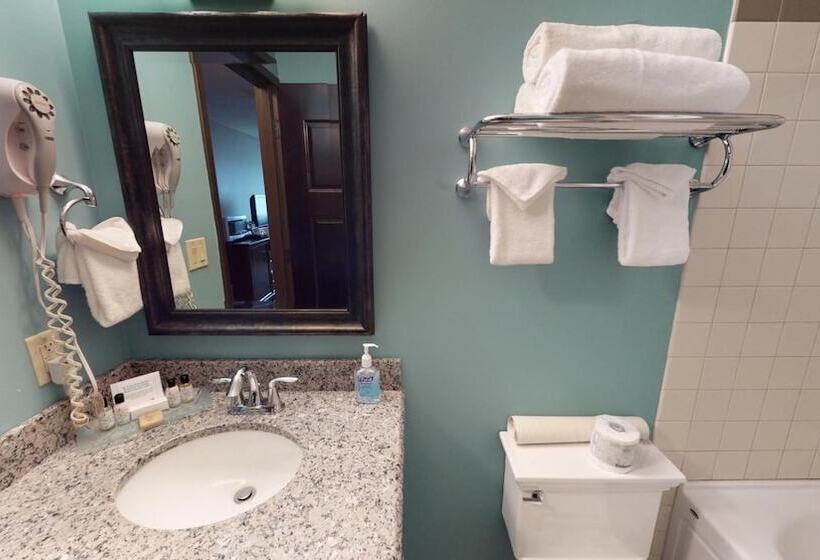 فندق Bear Claw Casino &