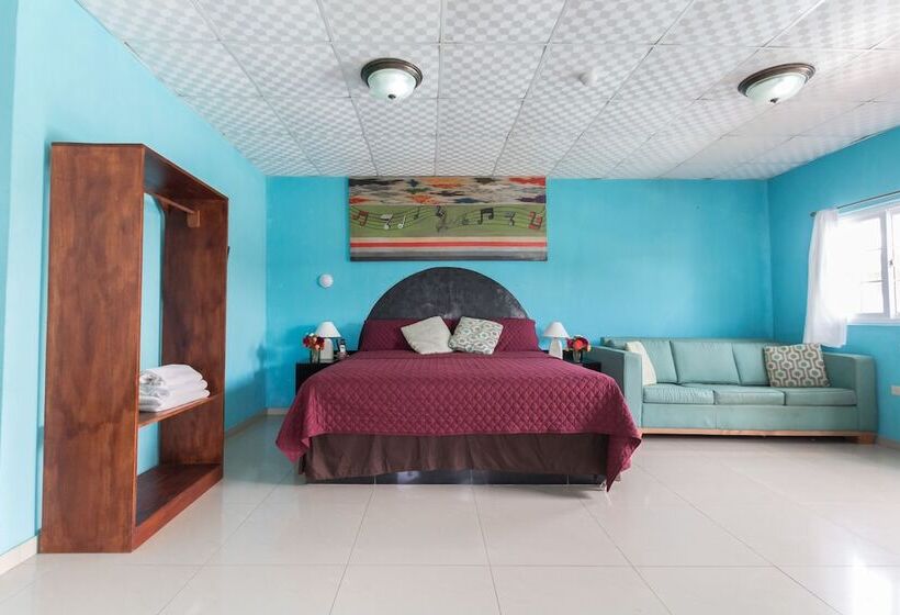 ホテル Big Daddy S Beach Club And