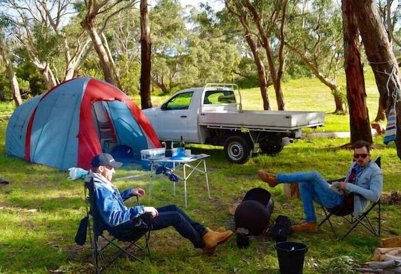 فندق Bimbi Park   Camping Under Koalas