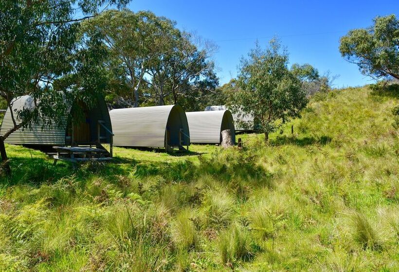 فندق Bimbi Park   Camping Under Koalas