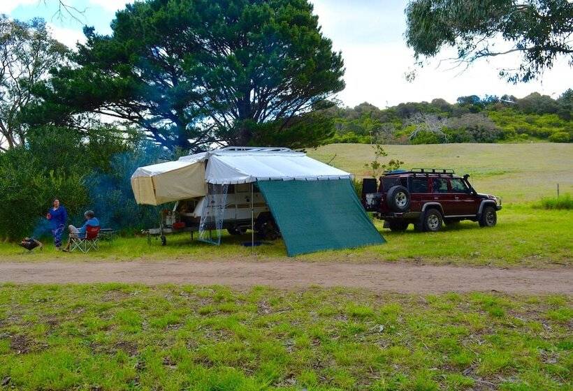 فندق Bimbi Park   Camping Under Koalas