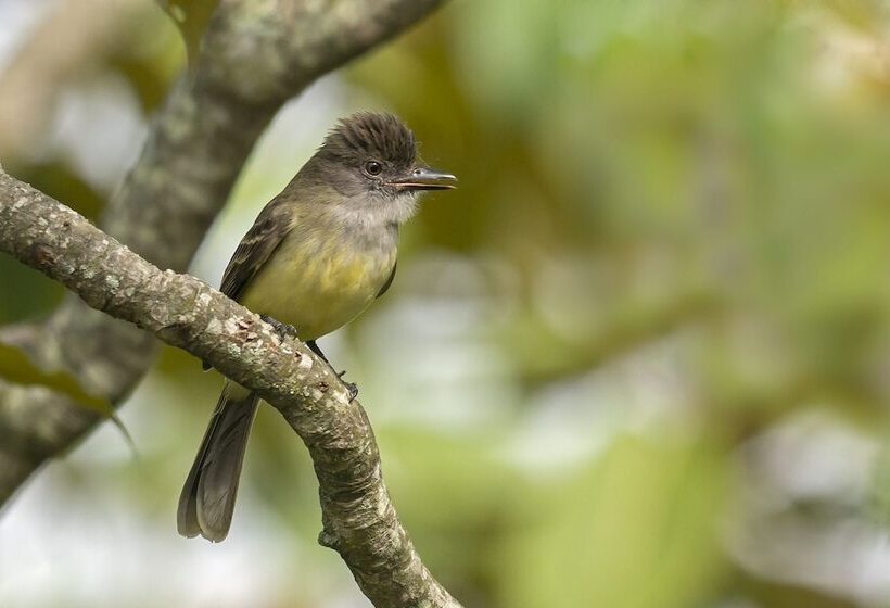 فندق Casa Chente