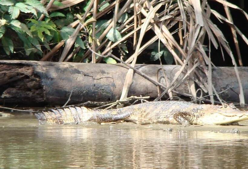 فندق Casa Grande Ecolodge At Pacuare Reserve