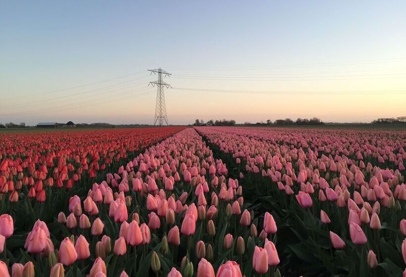 בית מלון כפרי De Flevohoeve