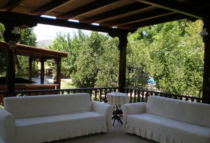 فندق Defne Pansiyon