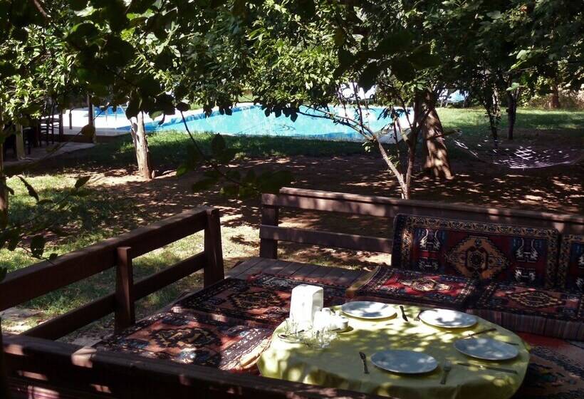 فندق Defne Pansiyon