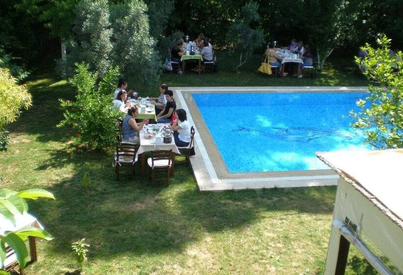فندق Defne Pansiyon