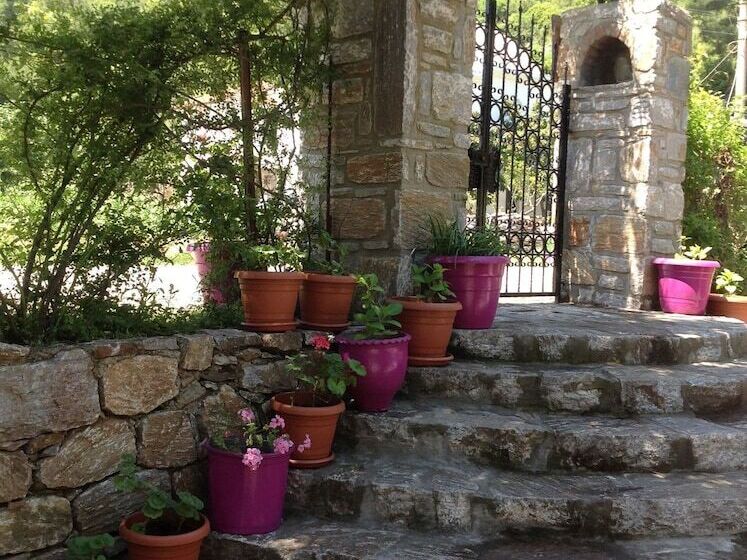 فندق Defne Pansiyon