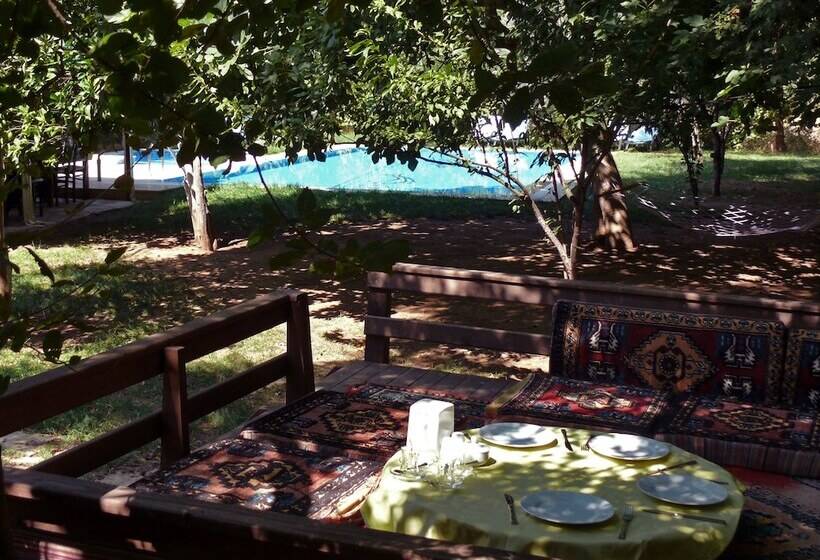 فندق Defne Pansiyon