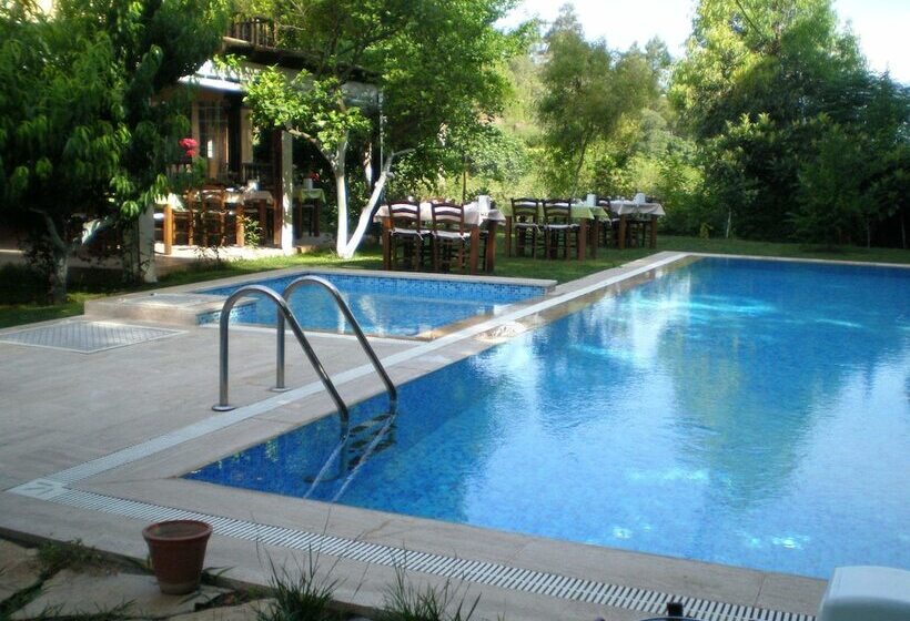 فندق Defne Pansiyon