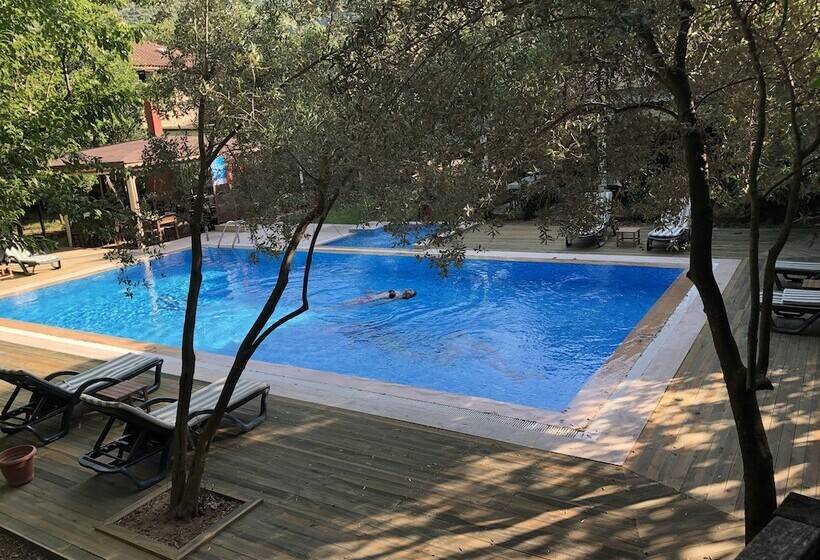 فندق Defne Pansiyon