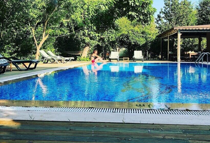 فندق Defne Pansiyon