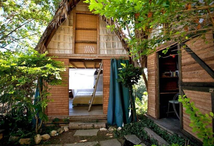 ホテル Ecolodge Tubagua Puerto Plata