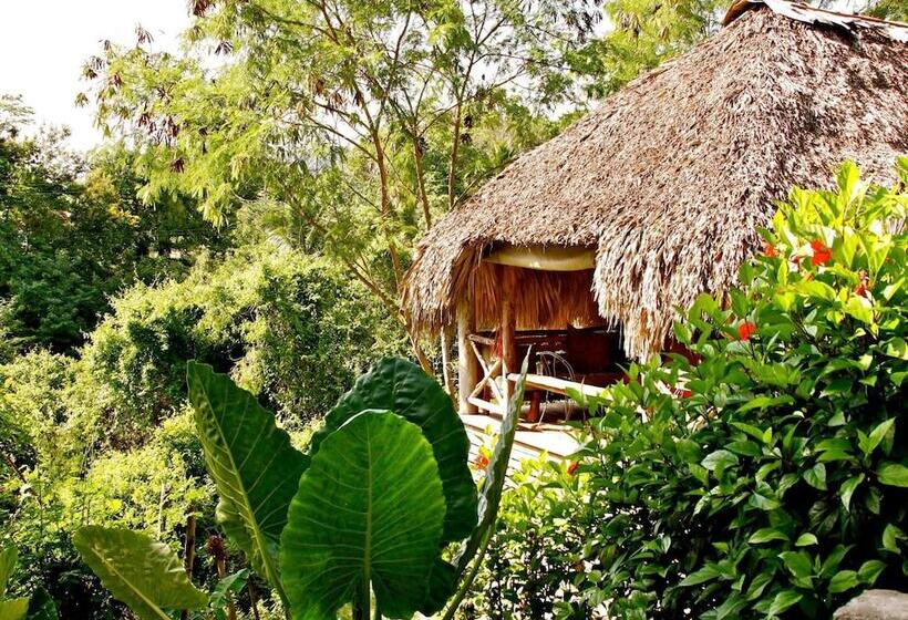 ホテル Ecolodge Tubagua Puerto Plata