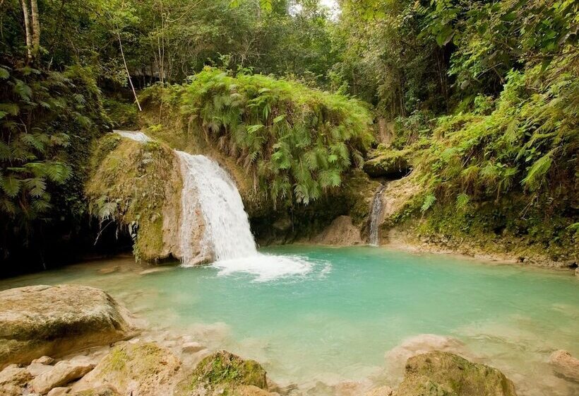 ホテル Ecolodge Tubagua Puerto Plata