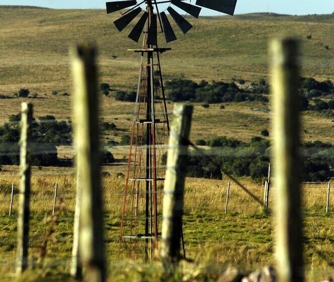 ホテル Estancia Aguila Blanca