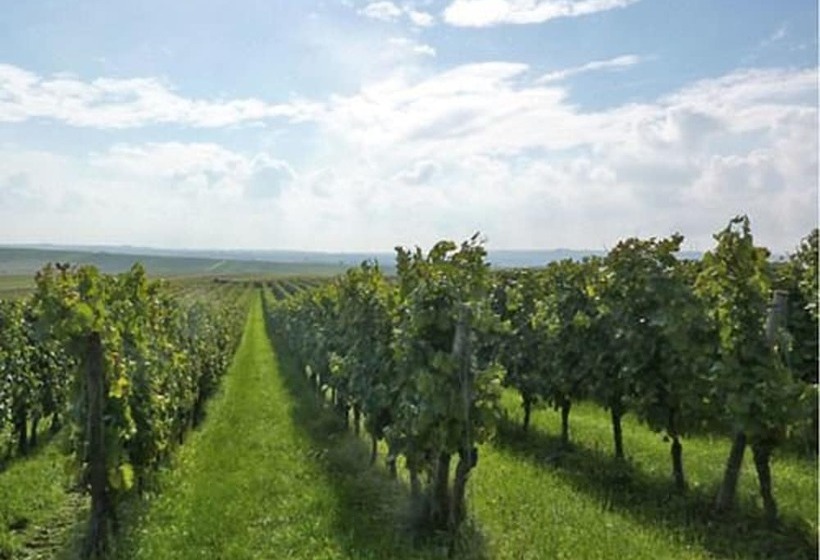 בית מלון כפרי Eventhof Und Gästehaus Weingewölbe