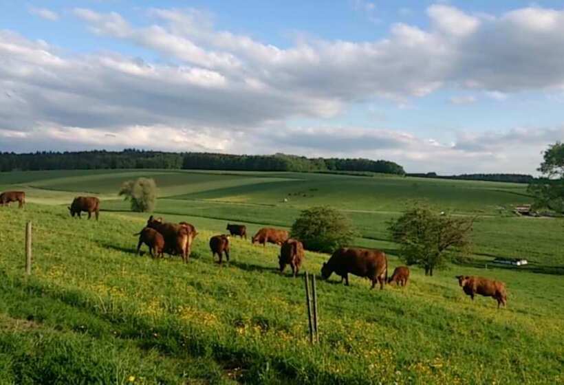 ホテル Ferienwohnung Maria Waldblick