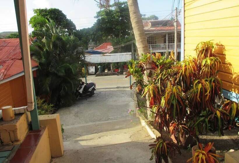 هتل Flemming Tree