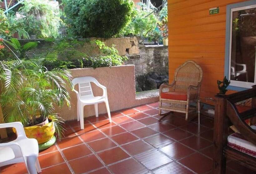 فندق Flemming Tree