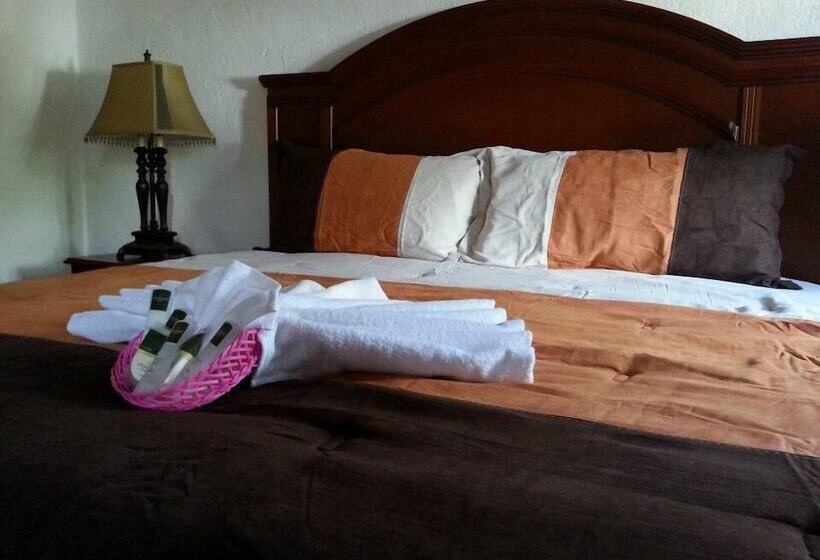 ホテル Hacienda Ecoturistica La Salitrera