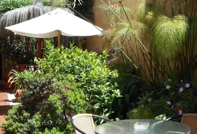 ホテル Hostal Balmaceda La Serena