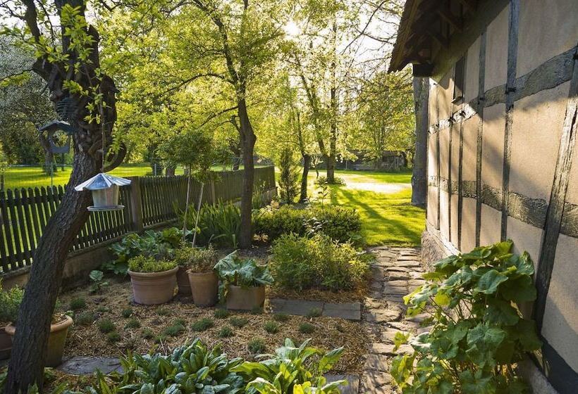 호텔 Hôtel De L Illwald