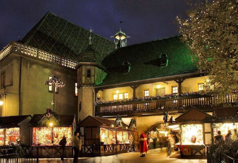 호텔 Hôtel De L Illwald