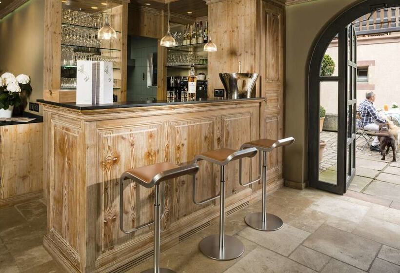 호텔 Hôtel De L Illwald