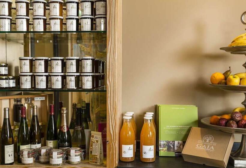 호텔 Hôtel De L Illwald