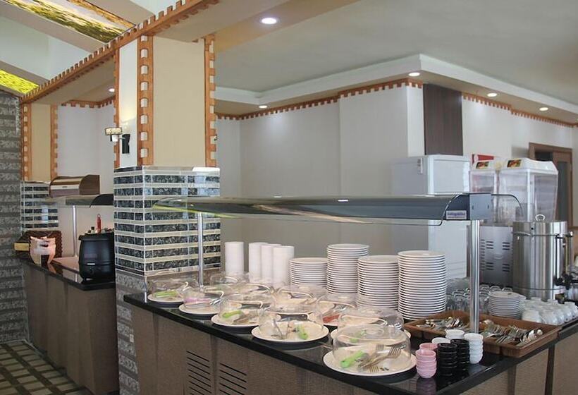 هتل Karakocan Hanedan