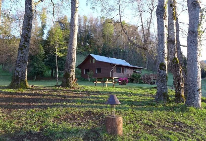 Отель Kila Tai Tai Lodge