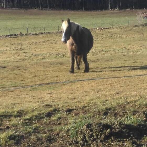 Отель L Auberge Du Comtois