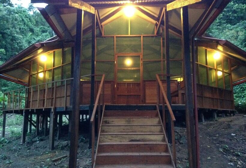 호텔 La Musa Verde