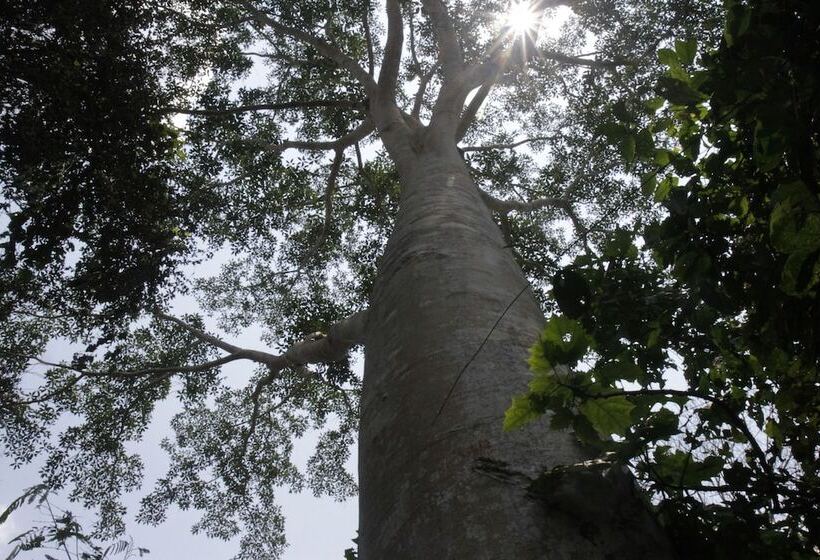 호텔 La Musa Verde