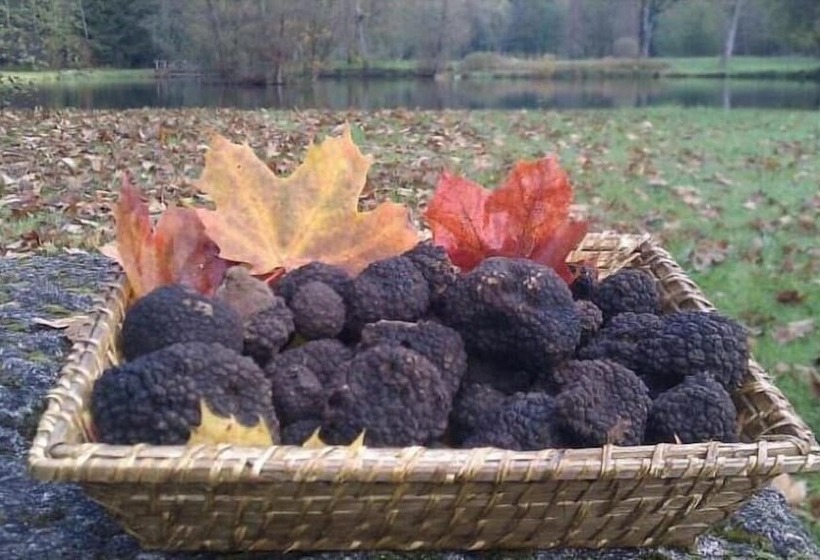 فندق Lodge Hôtel Domaine De Sommedieue