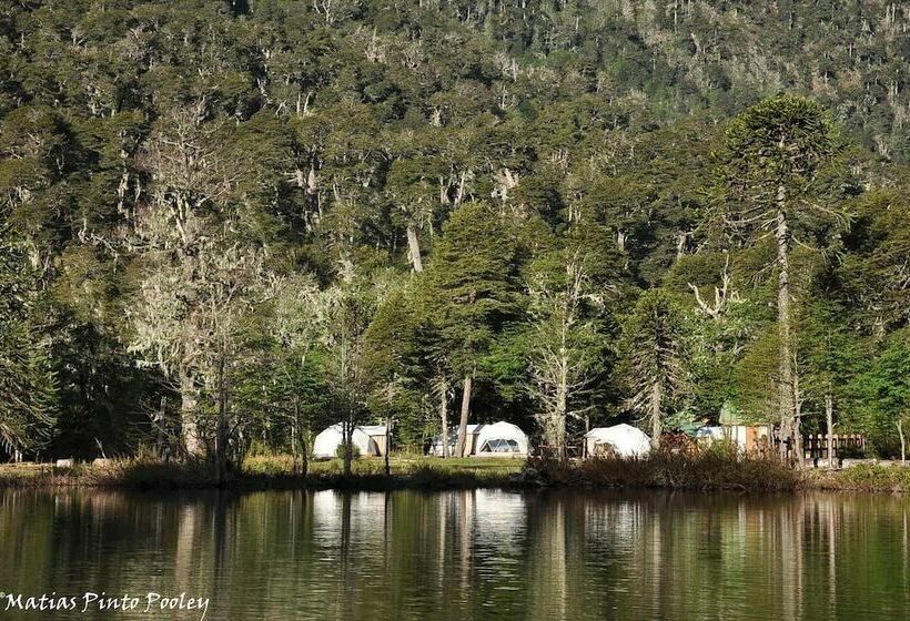 Отель Lodge Nevados De Sollipulli