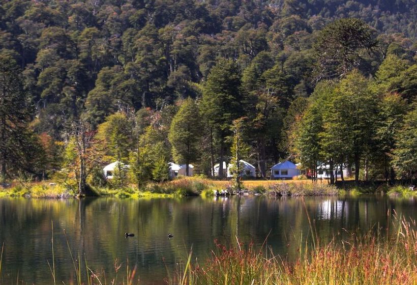 Отель Lodge Nevados De Sollipulli