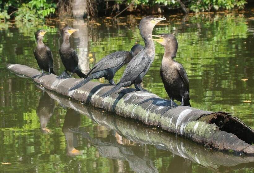 酒店 Maloka Sandoval Lodge