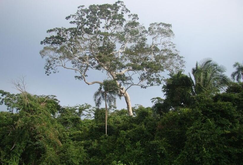 酒店 Maloka Sandoval Lodge