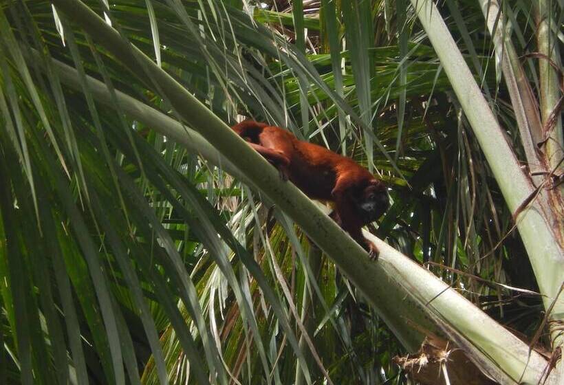 酒店 Maloka Sandoval Lodge