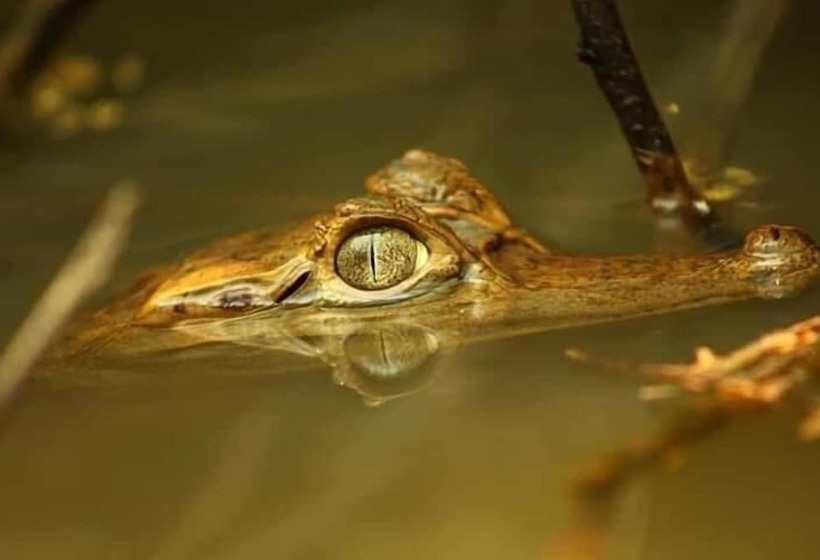 酒店 Maloka Sandoval Lodge