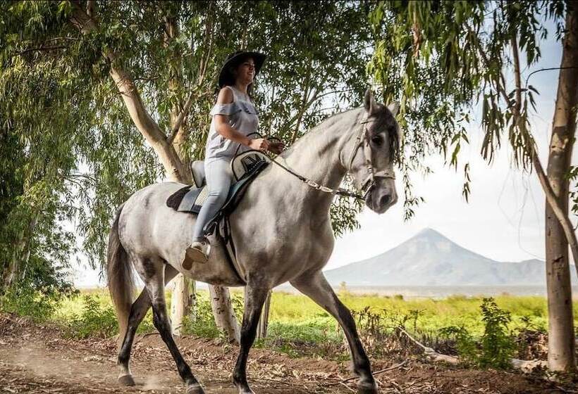 酒店 Momotombo Lake Resort & Villas