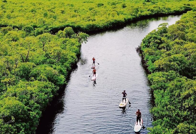 Отель Ngellil Nature Island Resort