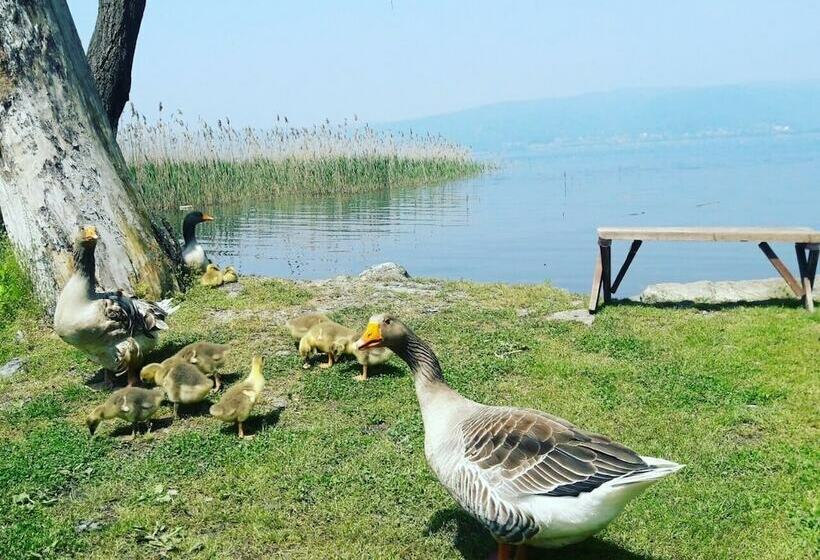 فندق Osso Garden Bungalow