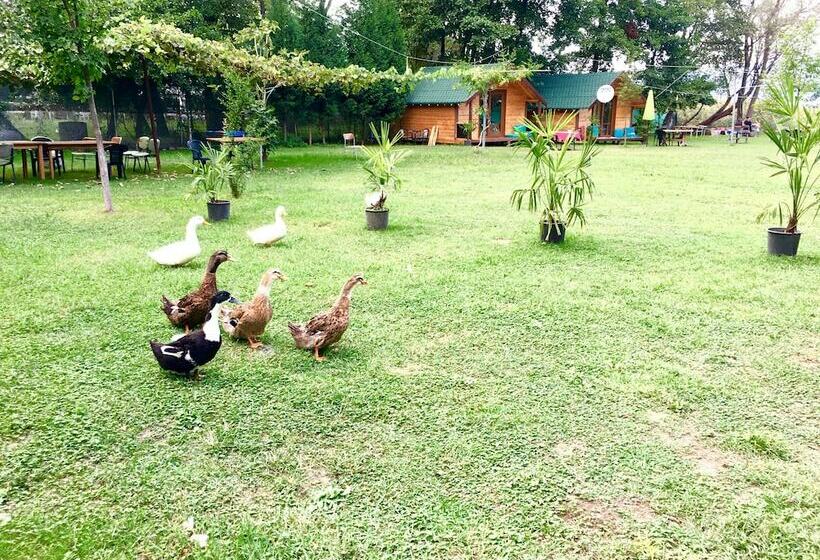 فندق Osso Garden Bungalow