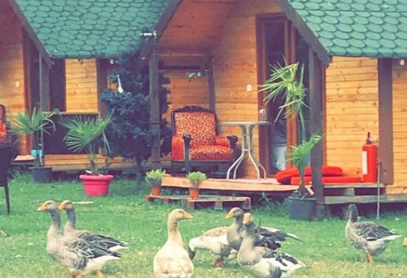 فندق Osso Garden Bungalow