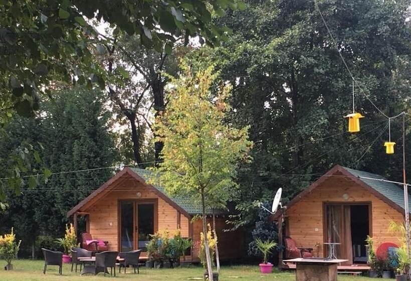 فندق Osso Garden Bungalow